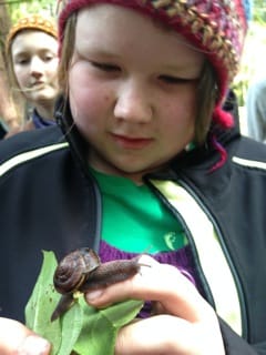 Nola & Monadenia snail