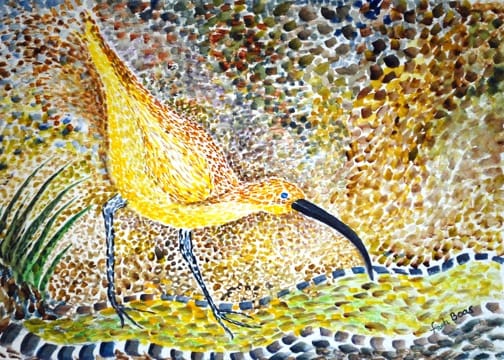 So... you want to be a Naturalist?