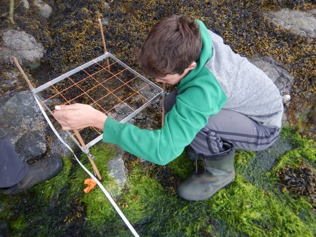 Shorekeeper Foreshore Training 2017