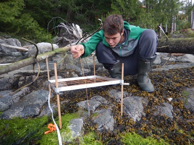 FTCCIS foreshore training2