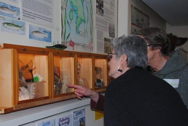 curiosity cabinet