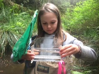 Youth Streamkeepers Spring 2018