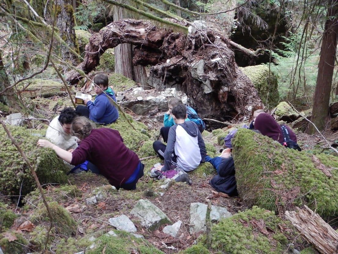 BioBlitz 2019!