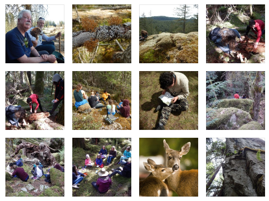 2019 BioBlitz Photos!