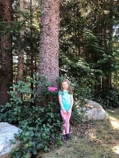 Where is Your Tree Friend?