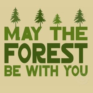 maytheforestbewithyou